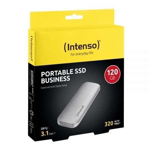 Intenso External SSD 120GB Business 18 USB C 31