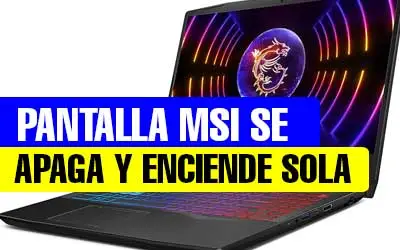 PANTALLA-MSI-SE-APAGA-Y-ENCIENDE-SOLA